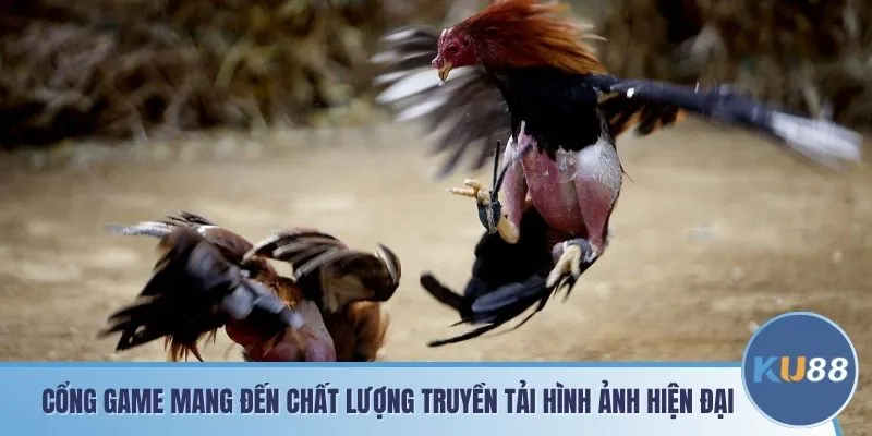 Cổng game mang đến chất lượng truyền tải hình ảnh hiện đại