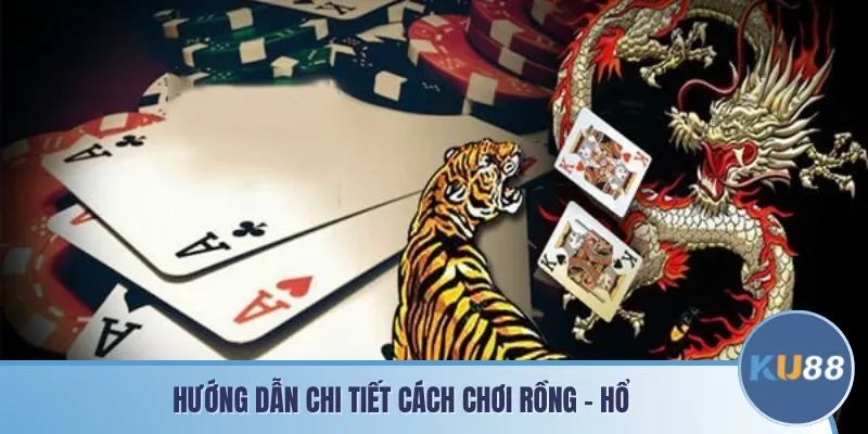 Hướng dẫn chi tiết cách chơi Rồng - Hổ