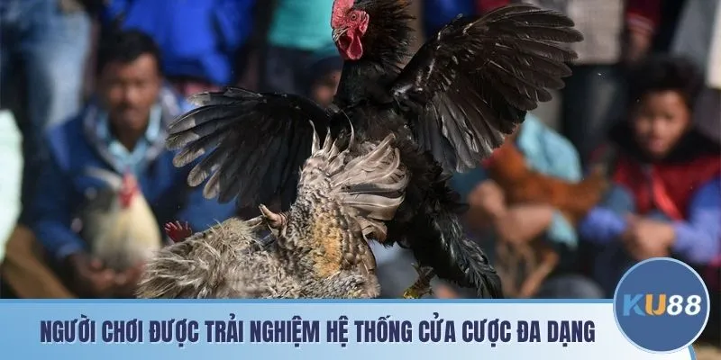 Người chơi được trải nghiệm hệ thống cửa cược đa dạng